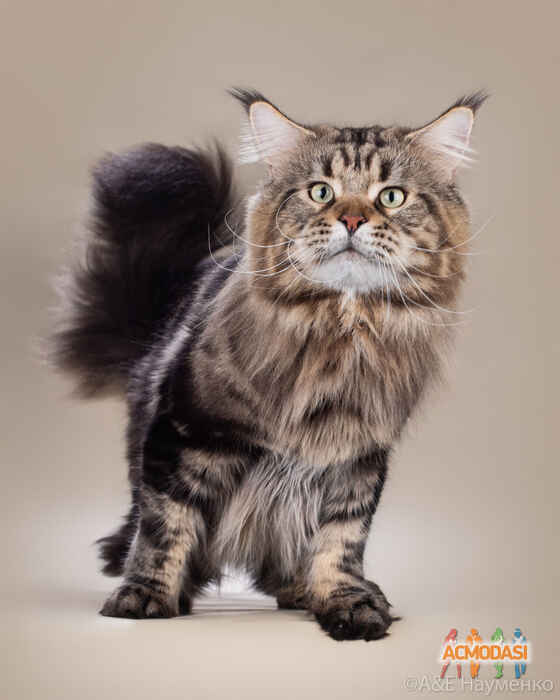 Павел  Малков фото №1526712. Загружено 16 Октября 2019