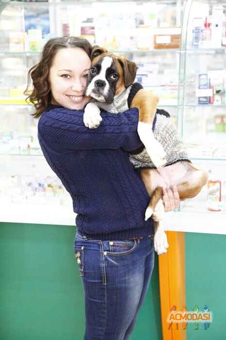 Ирина  Костан фото №838210. Загружено 23 Марта 2015