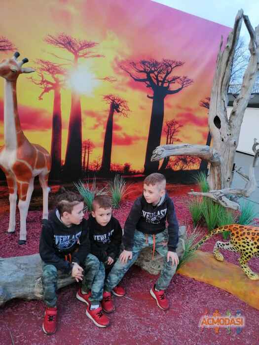 Юлия Сергеевна Левштанова фото №1714077. Загружено 07 Июня 2021