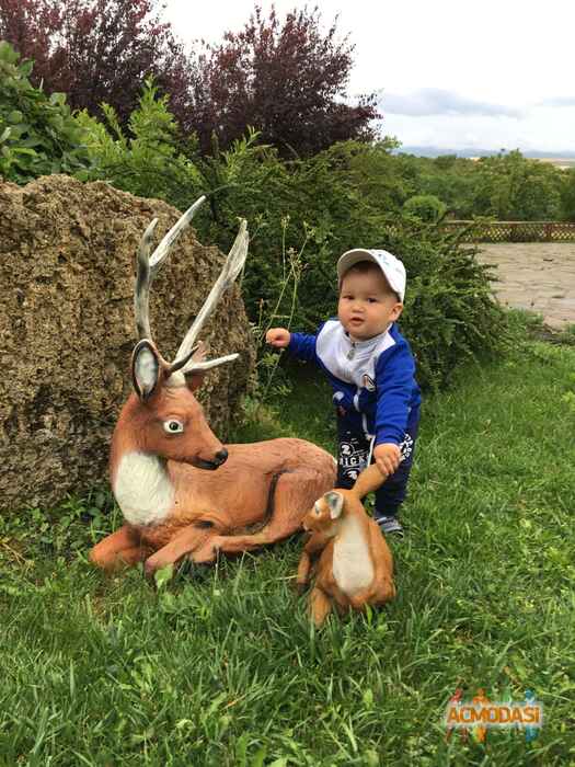 Алексей   фото №1345270. Загружено 16 Июля 2018