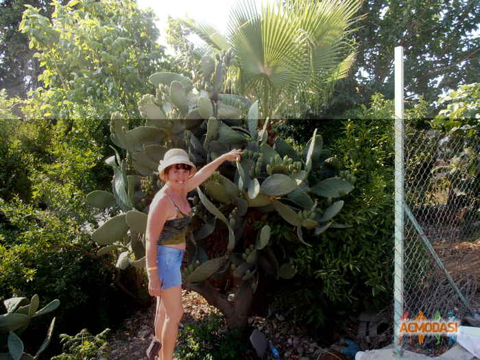 Маршук  Валентина Ивановна фото №83485. Загружено 09 Октября 2011