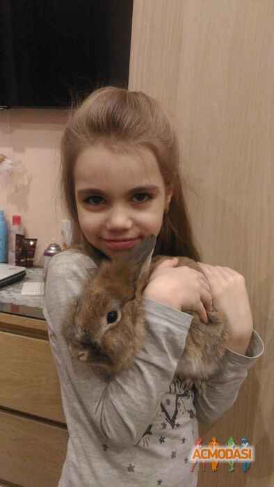 Диана Витальевна Сулим фото №1458383. Загружено 15 Мая 2019