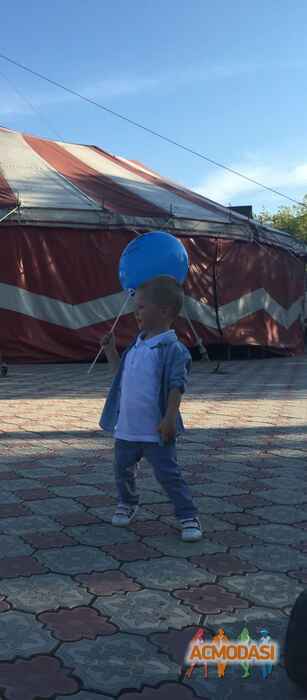Ирина  Софийчук фото №1113860. Загружено 22 Ноября 2016