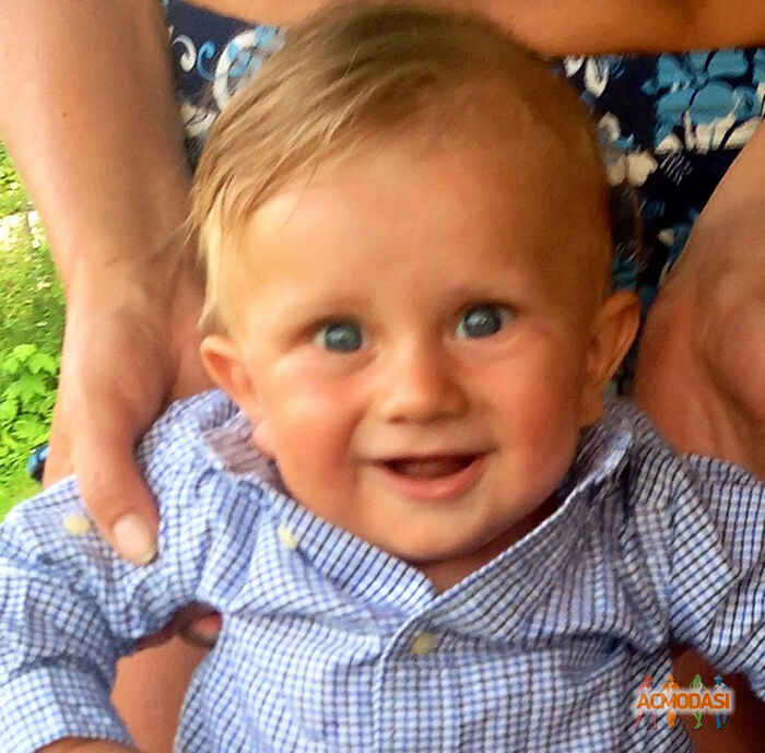 Дарий Дмитриевич Безнасюк фото №885396. Загружено 12 Июля 2015