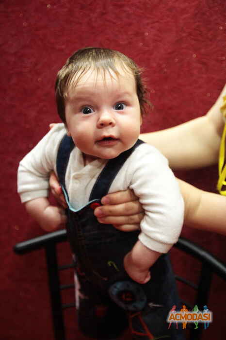 Всеволод   фото №668054. Загружено 11 Июня 2014