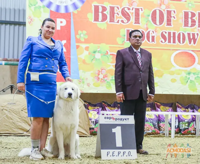 Велес   фото №1932650. Загружено 29 Июля 2025