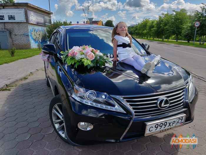 Екатерина Евгеньевна Стрекаловская фото №1507424. Загружено 04 Сентября 2019