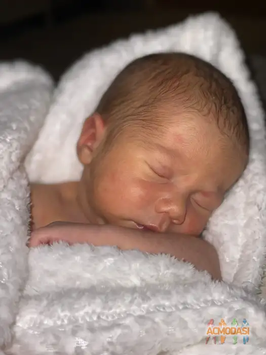 Платон  Остаев фото №1940367. Загружено 03 Ноября 2025