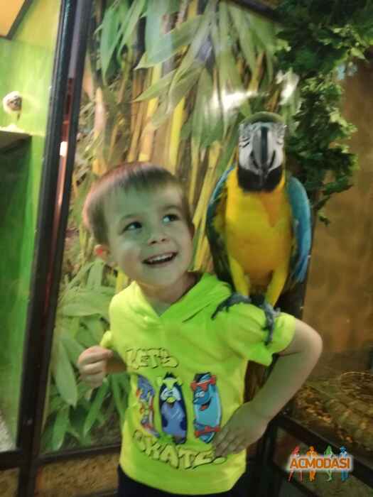 Григорий  Круг фото №1517552. Загружено 28 Сентября 2019