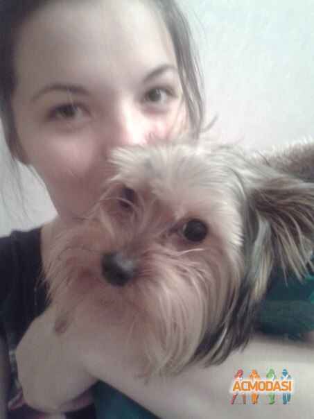 Даша   фото №799521. Загружено 09 Января 2015