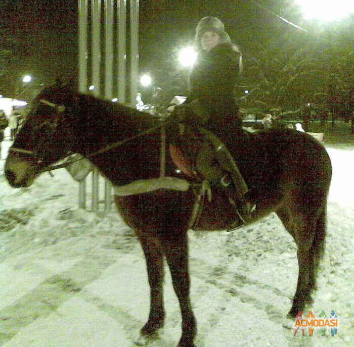 Инара Равшановна Кулумбетова фото №307833. Загружено 11 Декабря 2012