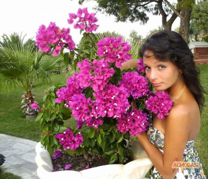 Анна Лефанова Вячеславовна фото №90281. Загружено 21 Октября 2011