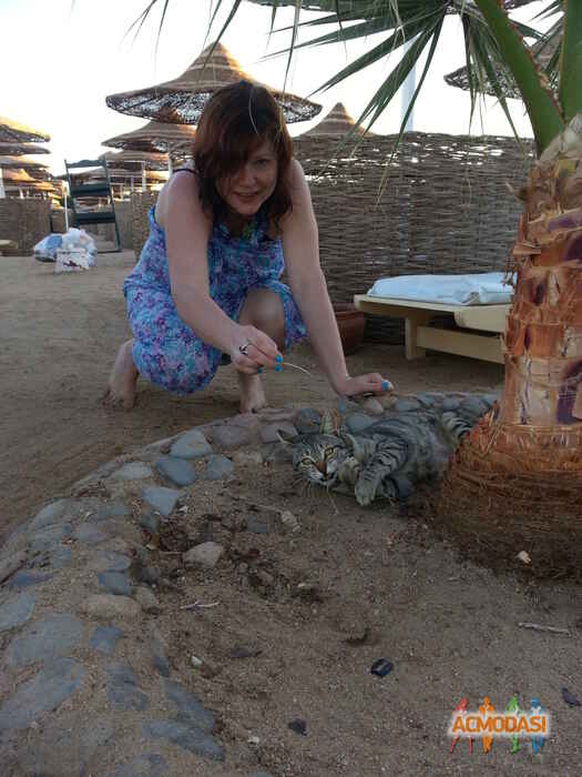 Алёна  Коровянская фото №818475. Загружено 10 Февраля 2015