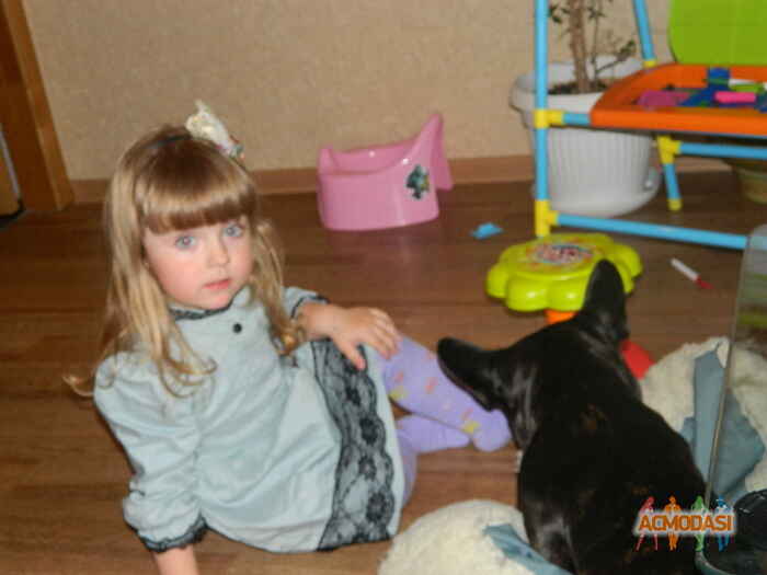 Есения Станиславовна Корбут фото №714139. Загружено 20 Августа 2014