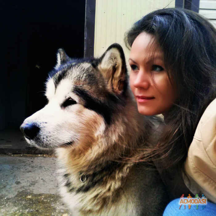 Елена Александровна Кравцова фото №1262409. Загружено 11 Декабря 2017