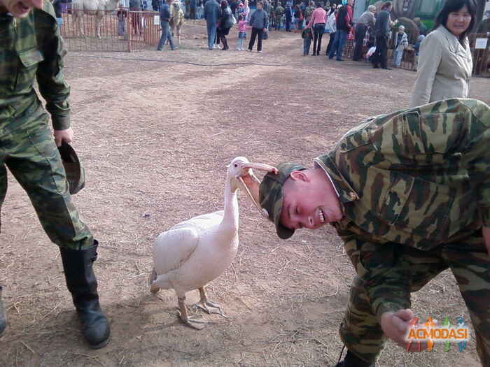 Кольчанов Сергей Александрович фото №104905. Загружено 15 Ноября 2011