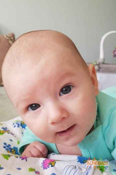 Дмитрий  Перепёлкин фото №1635213. Загружено 03 Сентября 2020