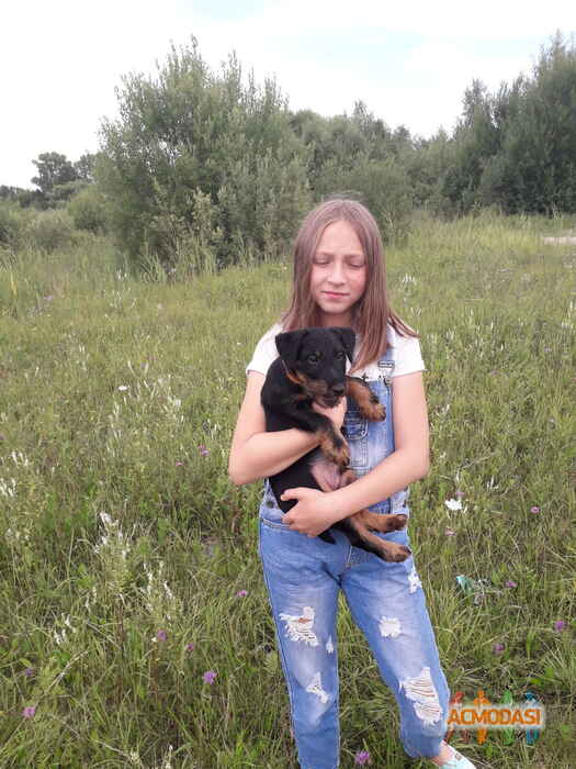 Алина Викторовна Суворова фото №1515507. Загружено 23 Сентября 2019