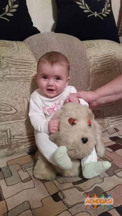 Алина  Сапунова фото №1110836. Загружено 15 Ноября 2016