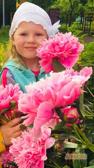 Илария Алексеевна Швец фото №1837679. Загружено 15 Января 2023