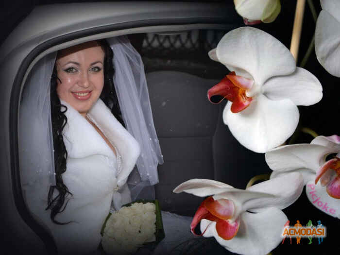 Тетяна Романівна Дремарецька фото №645578. Загружено 01 Мая 2014