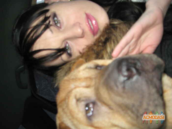 Юлия Анатольевна Максимова фото №158809. Загружено 02 Марта 2012