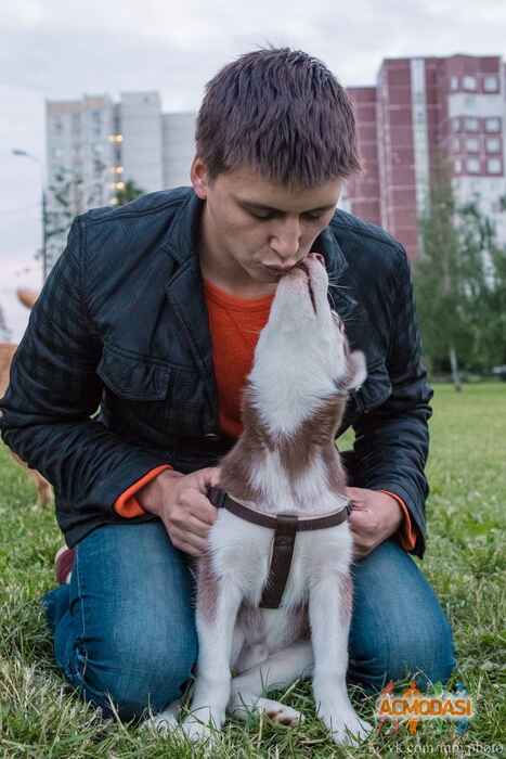 Кирилл Валерьевич Михайлов фото №695958. Загружено 24 Июля 2014