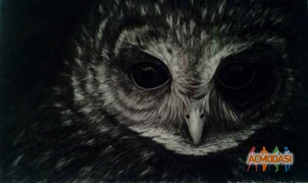 Артём  Стрепетов фото №893843. Загружено 27 Июля 2015