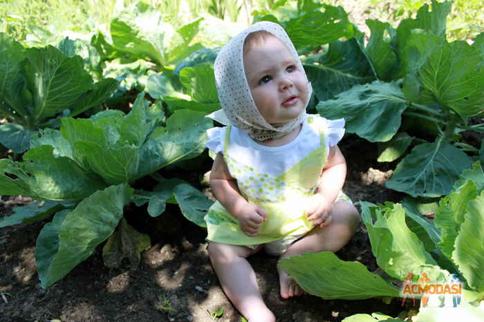 Диана   фото №903136. Загружено 10 Августа 2015