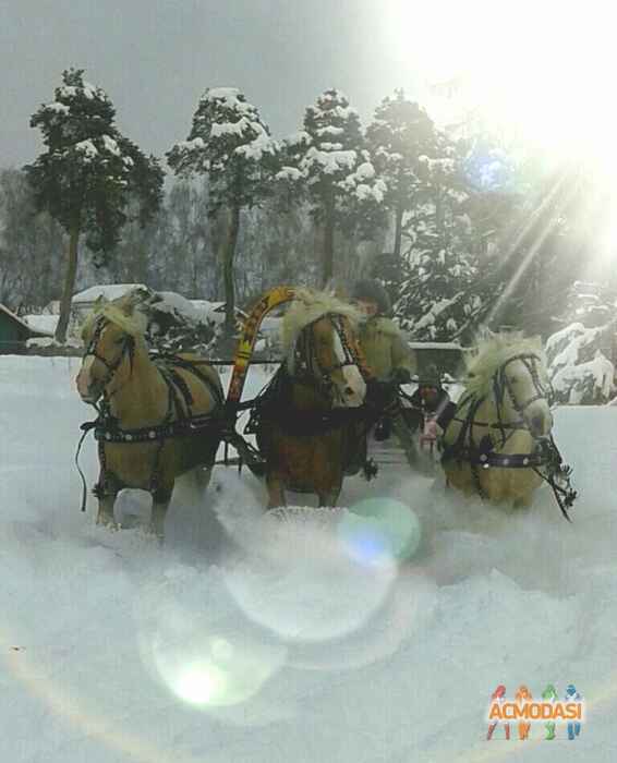 Дятлова Елена Ивановна фото №1295987. Загружено 06 Марта 2018