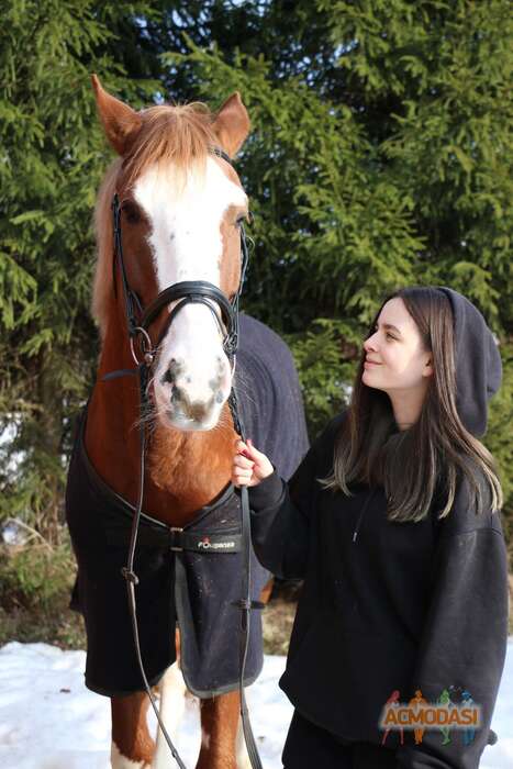 Анна  Новикова фото №1806791. Загружено 11 Июля 2022