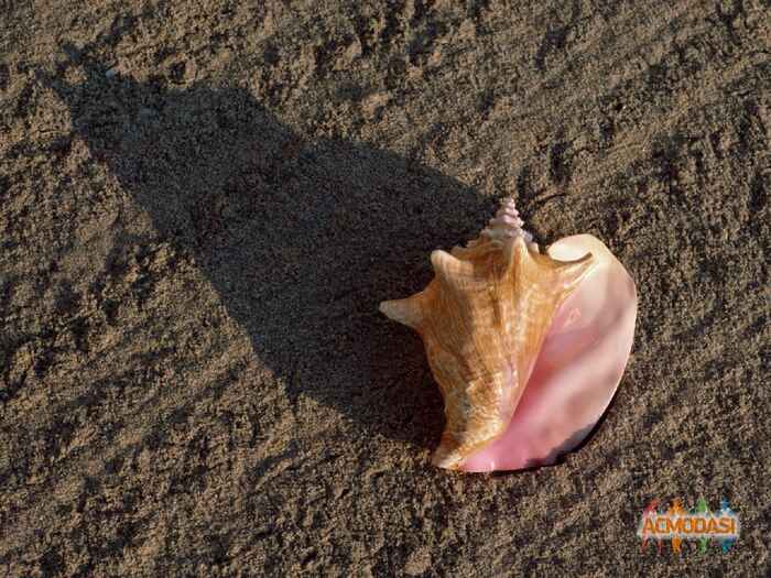 Анастасия   фото №239263. Загружено 16 Августа 2012