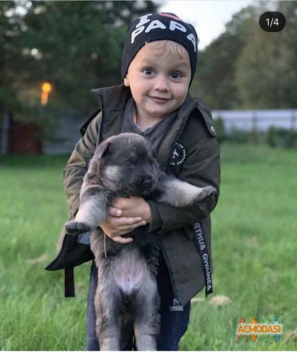 Алексей Русланович Масягин фото №1505071. Загружено 29 Августа 2019