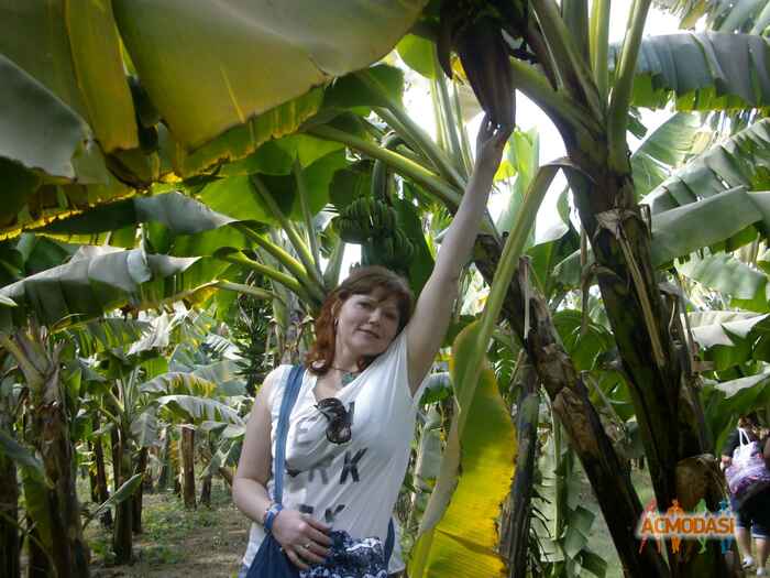 Алёна  Коровянская фото №818478. Загружено 10 Февраля 2015