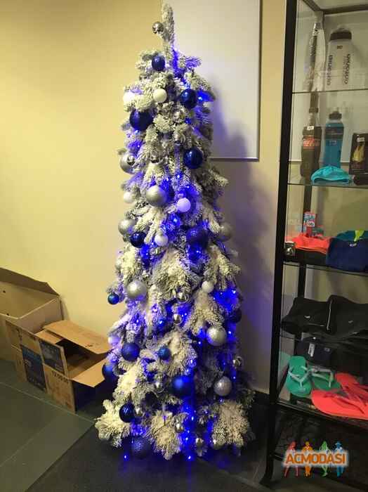 Елена Александровна Плотникова фото №1504568. Загружено 28 Августа 2019