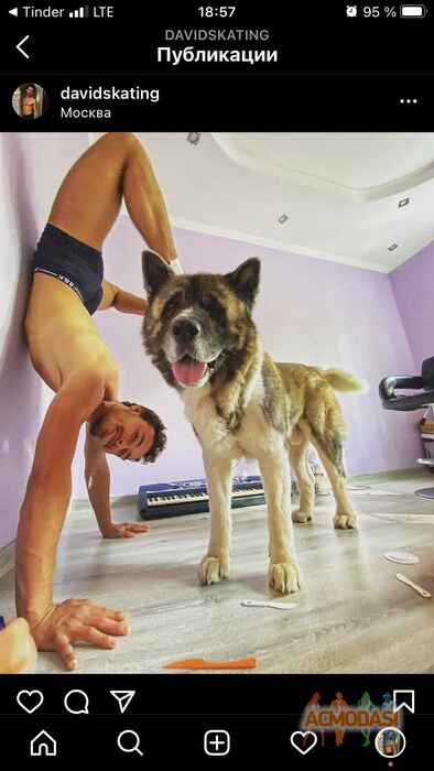 Давид  Носков фото №1717401. Загружено 21 Июня 2021