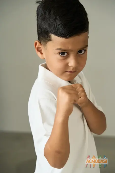 Таир  Исмайылов фото №1935035. Загружено 28 Августа 2025