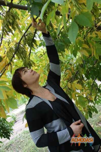 Роза   фото №937799. Загружено 13 Октября 2015