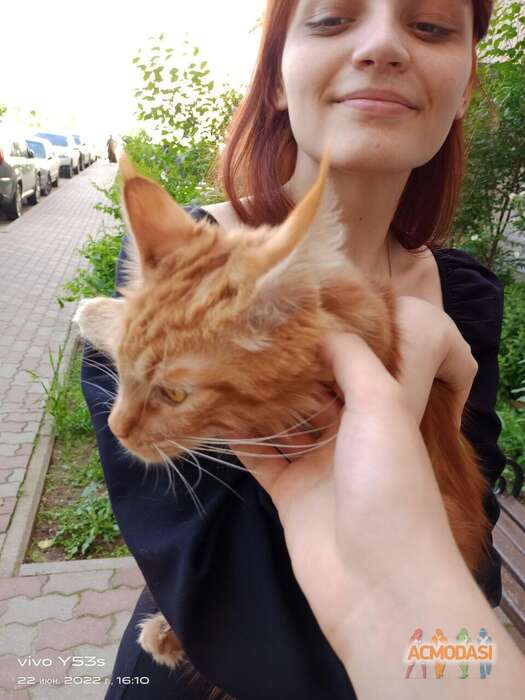 Ирина  Сударева фото №1804520. Загружено 30 Июня 2022