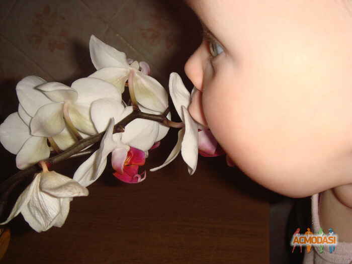 Саша Степановна Исакова фото №627768. Загружено 02 Апреля 2014