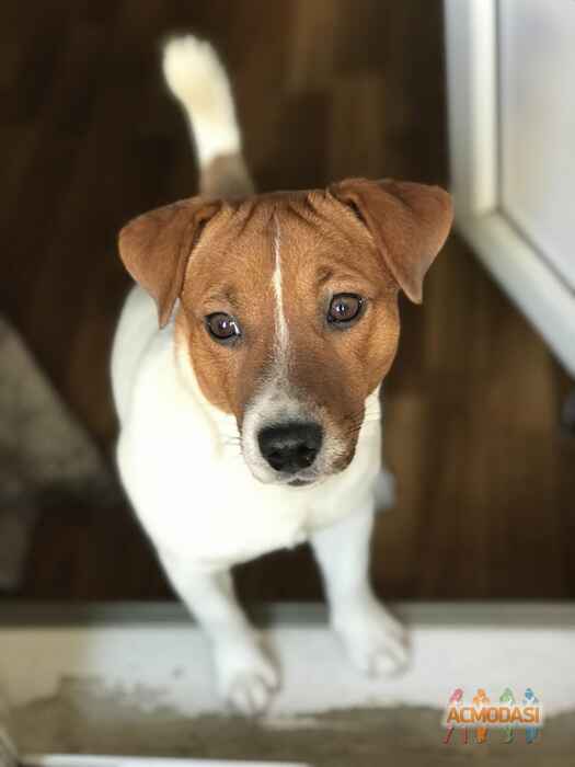 Шон- Кристиан   фото №1700218. Загружено 17 Апреля 2021