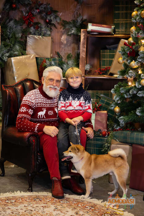 Король  Павел фото №1854680. Загружено 15 Мая 2023