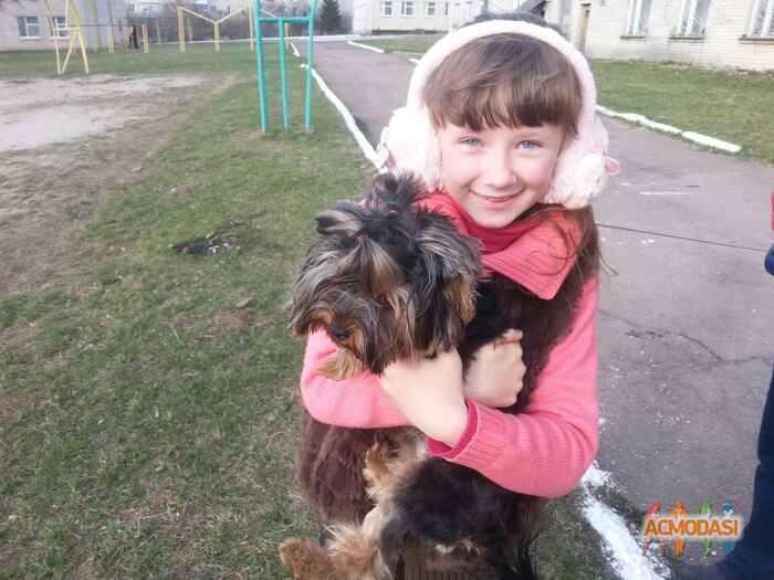 Диана  Максютенко фото №879304. Загружено 27 Июня 2015