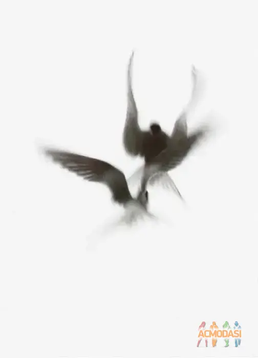 Варвара   фото №1931809. Загружено 19 Июля 2025