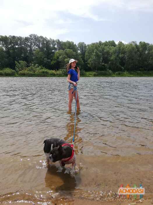 Полина Маратовна Ахметзянова фото №1476493. Загружено 24 Июня 2019