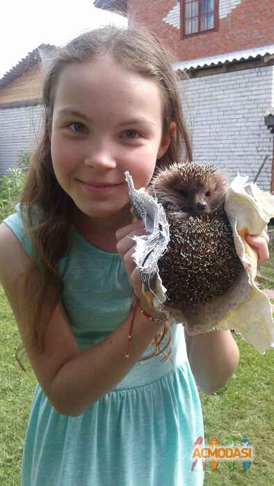 Лиза Игоревна Новосельская фото №1256102. Загружено 26 Ноября 2017