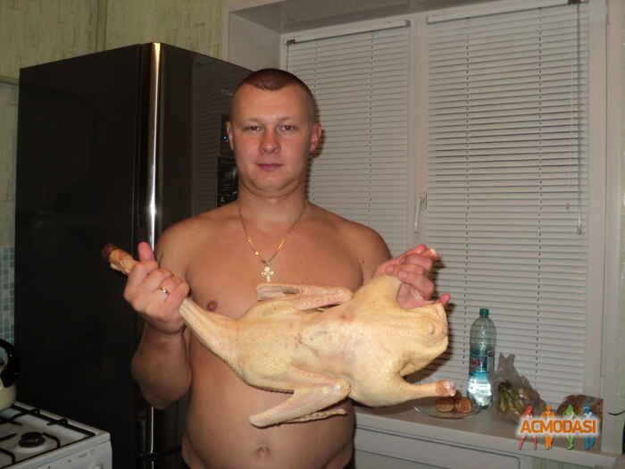 Сергей Владимирович Бажанов фото №274823. Загружено 20 Октября 2012