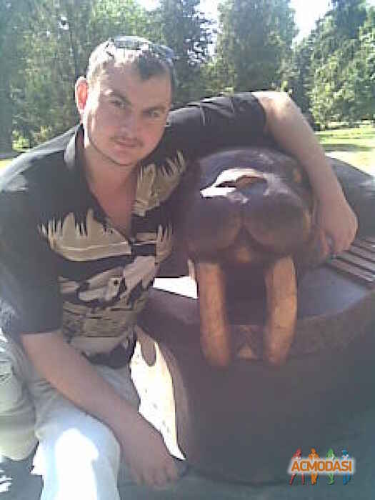 Павел  Михайлович фото №115136. Загружено 05 Декабря 2011