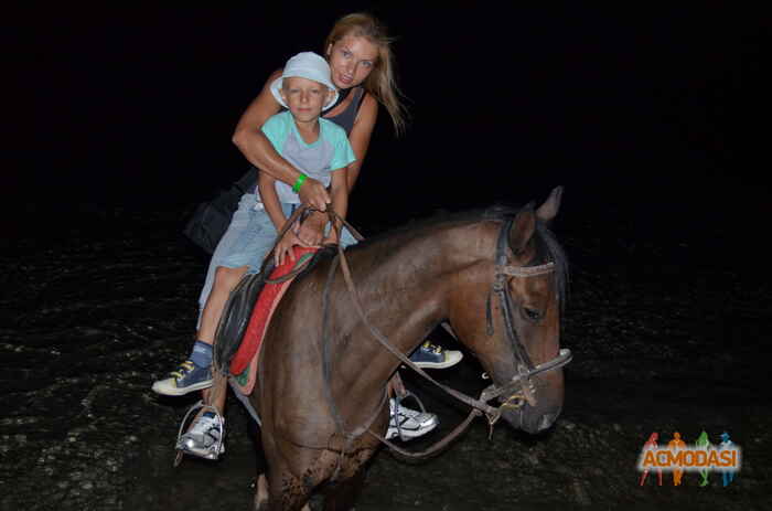 Надежда Сергеевна Петрушенко фото №505847. Загружено 07 Октября 2013