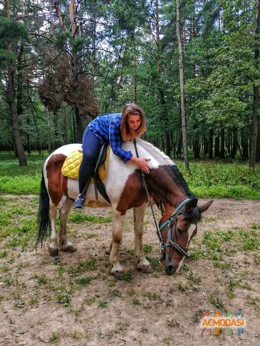 Анастасия Владимировна Синельщикова фото №1491476. Загружено 26 Июля 2019